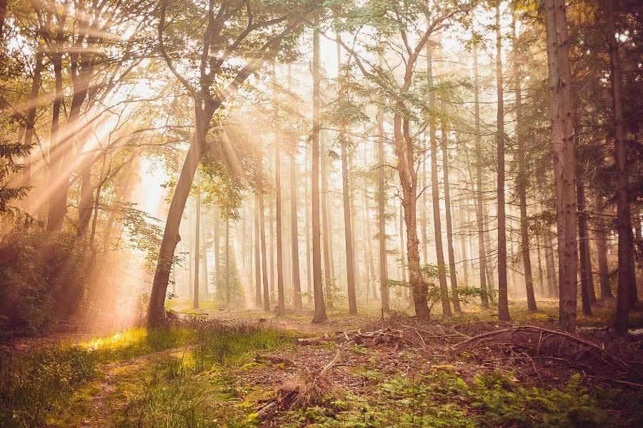 开云网址-电竞解说大赛圆满结束，新声力量为电竞添彩