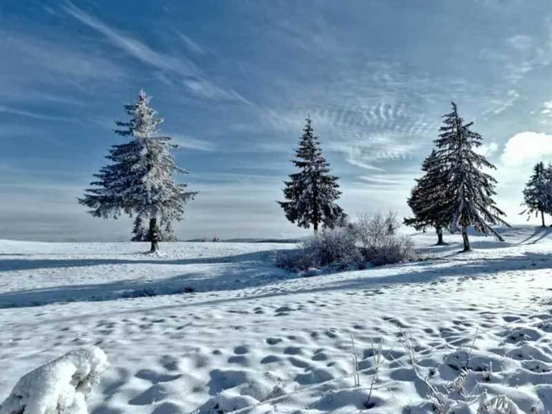 开运-羽毛球双打组合配合愈发默契(qì)，世(shì)界排名稳步上升？