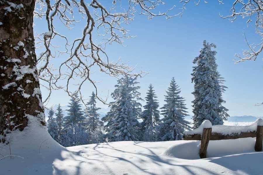 羽毛球双打组合配合愈发默契，世界排名稳步上升？