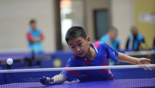 “新城环保杯”2025年浙江省第十四届乒乓球等级积分联赛(长兴站)暨第二届长三角乒乓球等级积分赛落幕