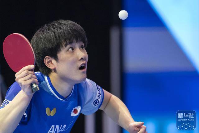 乒乓球｜WTT伦敦球星挑战赛：邱党获得男单冠军