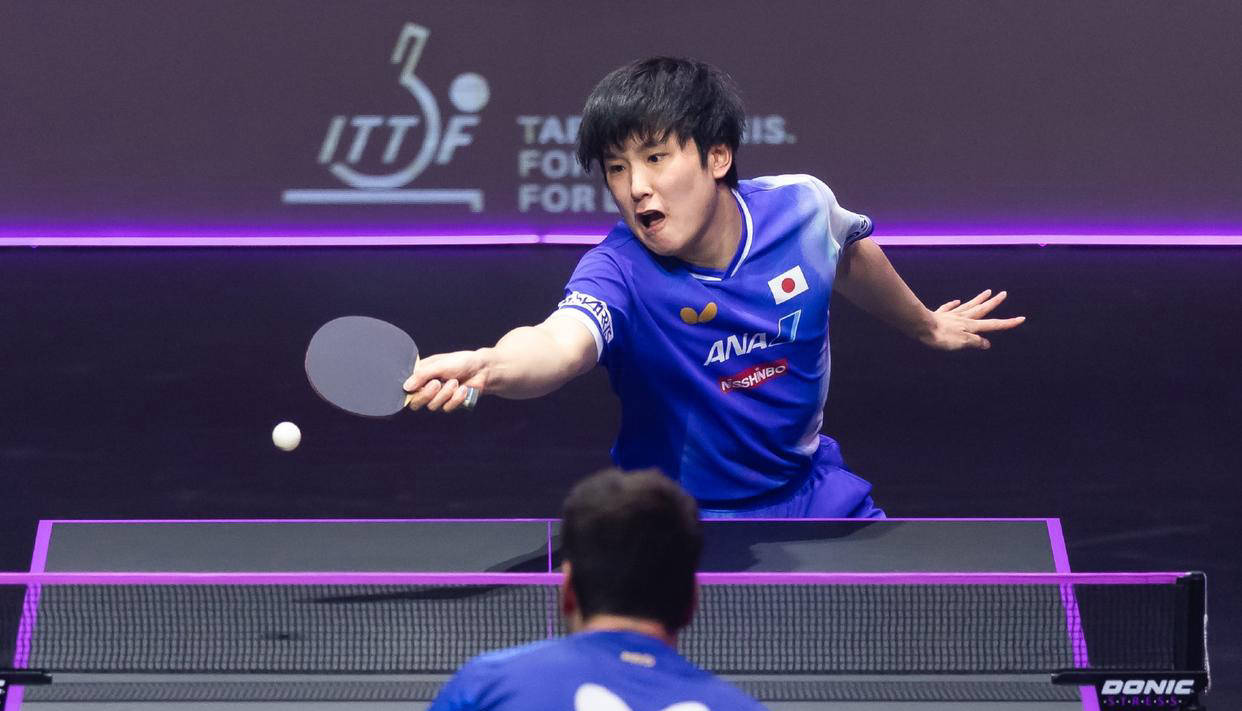 张本美和轻松击败刘杨子,张本智和稳胜林文政,两场比赛基本无悬念