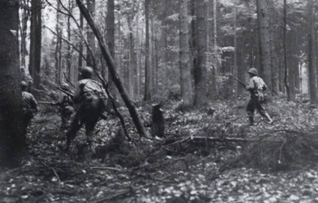 防御名将莫德尔:率军20万挫败200万苏军,自杀前让40万德军解散